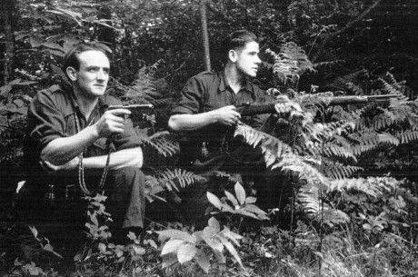 Hace unos días encontré por casualidad en una web extranjera un arma a la venta que hacía muchos años 70
