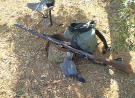  Amigos, viendo que hay interés general en la práctica de la caza con armas de avancarga, abrimos este 70