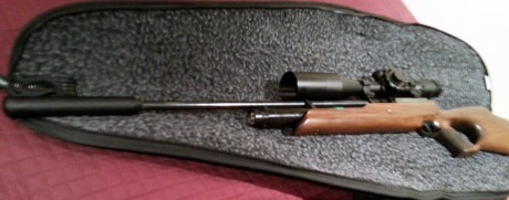Estoy pensando en comprarme una carabina para tirar y competir en Field Target, agradeceria orientacion 31