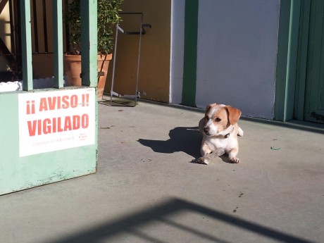  LOS ALMUERZOS DE CAZA MENOR NO CUENTAN Y LOS ABATES SIN FOTO TAMPOCO 
 
Voy a recordar las normas y asi 140