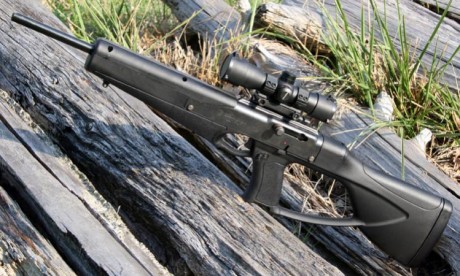 Hola, sabeis si esta carabina esta disponible aqui en Españistan? se ve muy bien, ademas tal y como viene 00