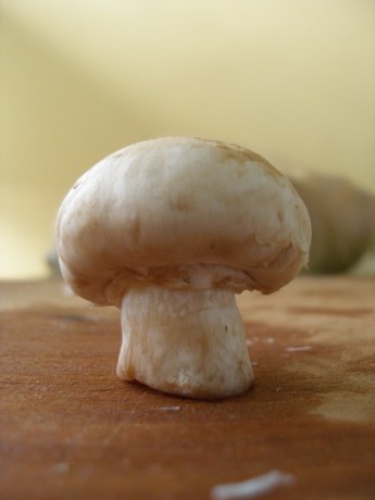 Olé, ole y olé!!!! por este padre y este hijo.... :apla:  :apla:  :apla:  :apla:  :apla:  :apla:  :apla: 30