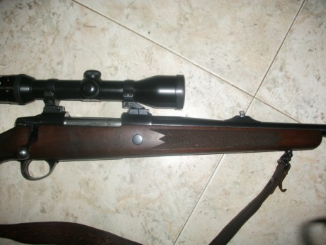 Hola a todos de nuevo. A ver si me apodeis ayudar.

Pues eso, que tengo desde hace años un rifle sako, 31
