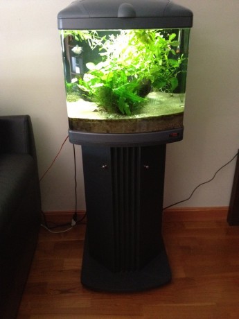 Buenas,

Vendo un acuario de agua dulce, 60 litros, sin un rasguño, como nuevo. Acuario de alta gama, 01