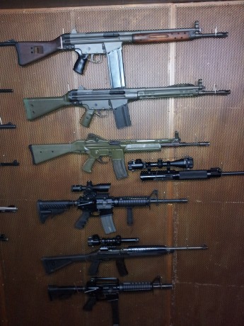 Hola compañeros. Me gustaría saber si alguien en este foro tuvo o tiene una carabina Olympic Arms K9 de 50