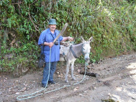  Ya que diversos foreros me han solicitado reabrir aquel viejo y exitoso hilo "Vernos las caras", 130