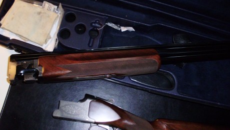 Vendo miroku mk38 trap con culata ajustable.
Choques fijos * y *_
Cañón de 76 cm
Banda 10mm

La escopeta 11