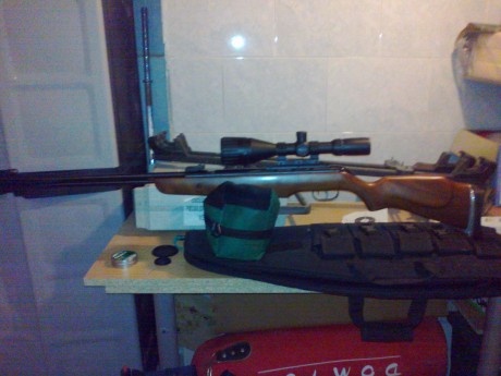 Muy buenas al fin desenvalé la gamo wisper cfr royal y rápido y raudo la puse unas anillas y un gamo 4x32,para 101