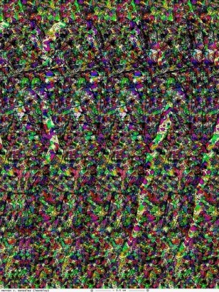 :cow:

Podeis pinchar sobre la imagen para hacerla mas grande. 162