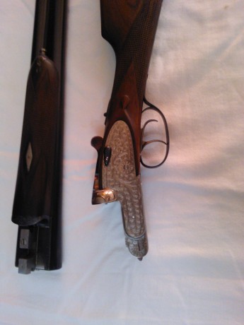 hola, a todos, quisiera consultaros sobre varias paralelas, sobre las que me ha surgido una compra conjunta, 01