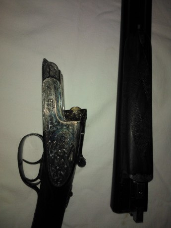 hola, a todos, quisiera consultaros sobre varias paralelas, sobre las que me ha surgido una compra conjunta, 22