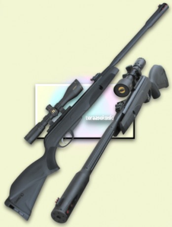 Algun mienbro sabe algo o puede comentar algo sobre la Gamo Black Fusion de 5,5 . Estoy mirando diferentes 50