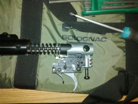 Muy buenas al fin desenvalé la gamo wisper cfr royal y rápido y raudo la puse unas anillas y un gamo 4x32,para 52