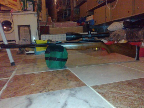 Muy buenas al fin desenvalé la gamo wisper cfr royal y rápido y raudo la puse unas anillas y un gamo 4x32,para 61