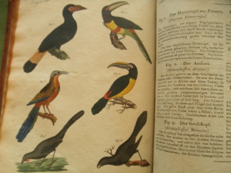 Hola, me encantan los libros antiguos, de historia, de ciencias sobre todo, biología, libros de naturalistas, 120