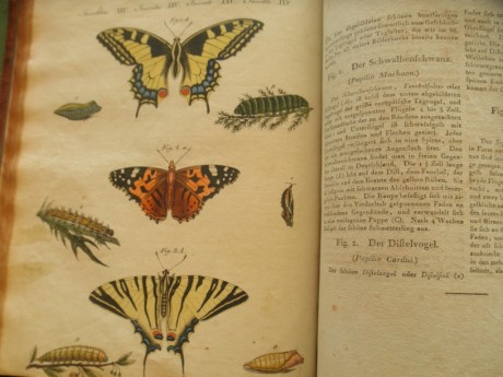 Hola, me encantan los libros antiguos, de historia, de ciencias sobre todo, biología, libros de naturalistas, 131