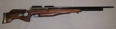 hola buenas, estaba mirandome unos foros extrangeros y me he topado con este arma que me ha llamado mucho 00