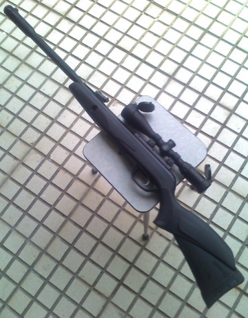 Algun mienbro sabe algo o puede comentar algo sobre la Gamo Black Fusion de 5,5 . Estoy mirando diferentes 170