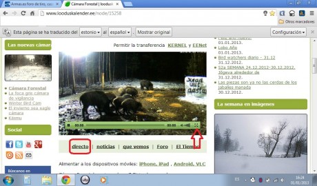Estos son los enlaces. Hacer clic sobre la foto del bosque nevado. Y si no conecta así, hacer clic bajo 00