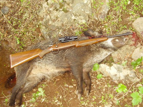 Hola a todos me gustaría exponer las diferentes opiniones sobre el tipo de rifle y calibre mas versátil 01