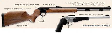 HOLA ALGUIEN SAVE SI SE PUEDE CAMBIAR DE CATEGORIA UNA CARABINA DEL 22LR (SAKO QUAD)PARA GUIARLA COMO 100