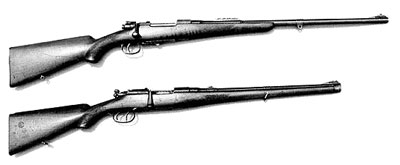 Hola a todos me gustaría exponer las diferentes opiniones sobre el tipo de rifle y calibre mas versátil 40
