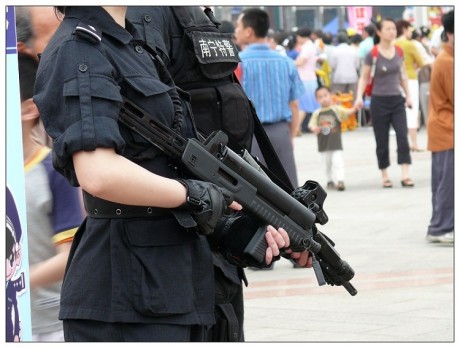 siguen con su desarrollo. El nuevo responde al nombre de QBZ-95G.

Parece que han mejorado al precisión, 131