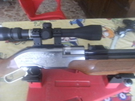 Muy buenas al fin desenvalé la gamo wisper cfr royal y rápido y raudo la puse unas anillas y un gamo 4x32,para 160