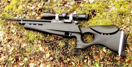 Muy buenas al fin desenvalé la gamo wisper cfr royal y rápido y raudo la puse unas anillas y un gamo 4x32,para 10
