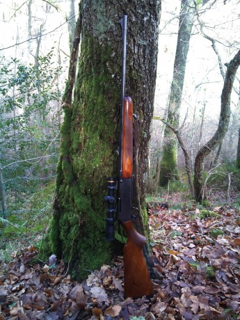 Ya amenacé hace tiempo en el hilo de los Benelli, seguramente es el rifle más extendido en España y cada 30