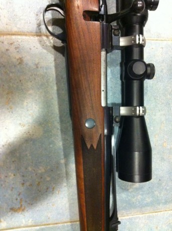 Hola a todos de nuevo. A ver si me apodeis ayudar.

Pues eso, que tengo desde hace años un rifle sako, 00