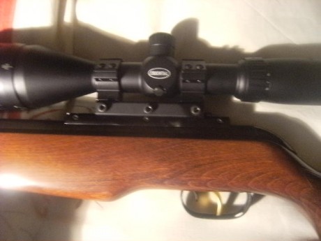 Muy buenas al fin desenvalé la gamo wisper cfr royal y rápido y raudo la puse unas anillas y un gamo 4x32,para 10