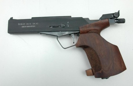 He leído mucho sobre la elección y dudas de pistolas para precisión a 10 metros.

   Yo y en mi particular 10