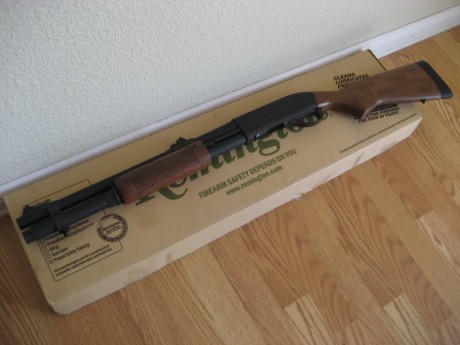 Hola

He comprado una Remington 870 wingmaster en buen estado, con pequeñas señales de uso en sus maderas, 00
