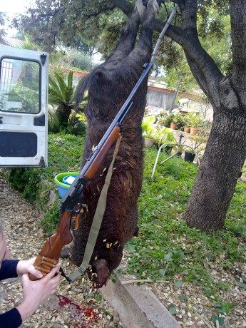 Bueno compañeros intentemos que esto sea un lugar en el que podamos mostrar nuestros Marlin 444 y compartir 11