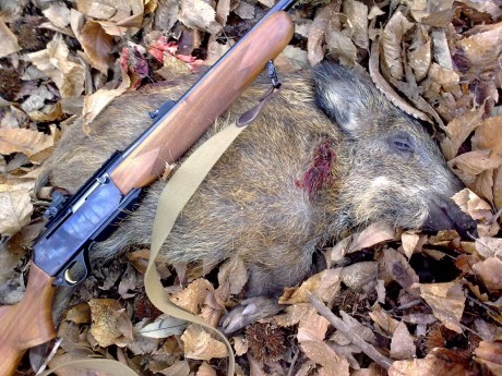Ya amenacé hace tiempo en el hilo de los Benelli, seguramente es el rifle más extendido en España y cada 10
