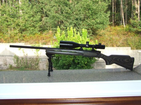 Hola Buenas a todos compañeros,  hace un año que me he comprado esta preciosidad, un CZ 550 varmint laminated 01