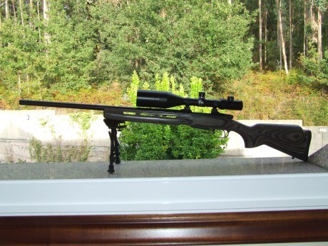 Hola Buenas a todos compañeros,  hace un año que me he comprado esta preciosidad, un CZ 550 varmint laminated 00
