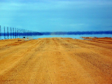 Hoy la niebla solo me ha permitido "disparar" la cámara,  niebla y una "gitana" de 80