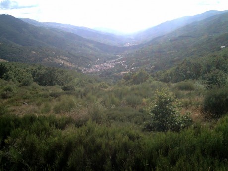 Hoy la niebla solo me ha permitido "disparar" la cámara,  niebla y una "gitana" de 120