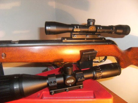 Muy buenas al fin desenvalé la gamo wisper cfr royal y rápido y raudo la puse unas anillas y un gamo 4x32,para 151