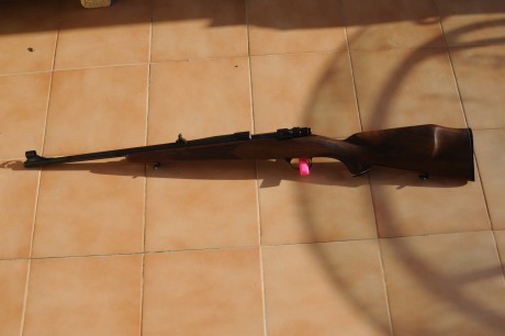 hola a todos, me gustaria que alguin me aconsejase sobre los rifles Luger, y el calibre 7x64, yo lo querria 31