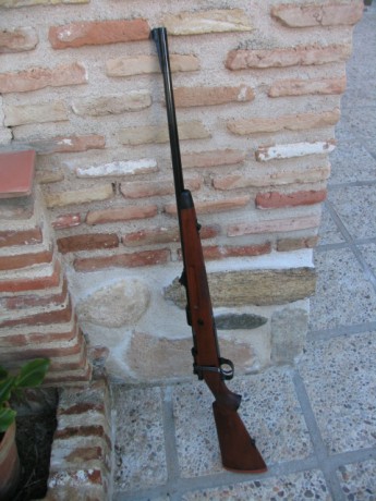 Hola compañeros. Tengo un SantaBarbara en 243 Win y me gustaria prepararlo un poco, es decir, quiero flotarle 162