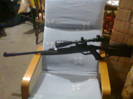 Muy buenas al fin desenvalé la gamo wisper cfr royal y rápido y raudo la puse unas anillas y un gamo 4x32,para 50