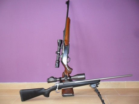 Ya amenacé hace tiempo en el hilo de los Benelli, seguramente es el rifle más extendido en España y cada 70