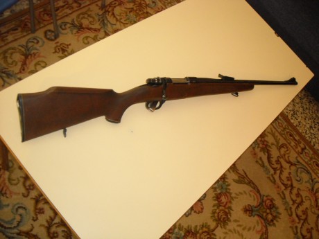 hola a todos, me gustaria que alguin me aconsejase sobre los rifles Luger, y el calibre 7x64, yo lo querria 90