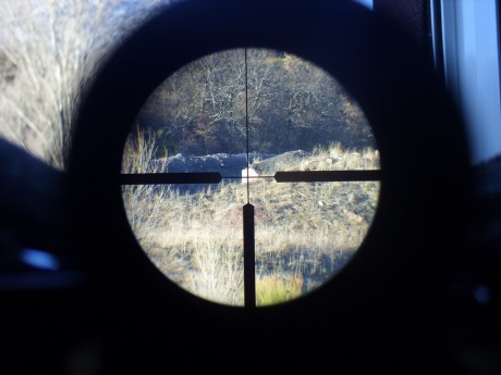 Que opinais de este visor para cazar en batida?
https://www.opticsplanet.net/bushnell-trophy-1-4x24-matte-illuminated-dot-30mm-tube-riflescope-731424m.html
Haria 152