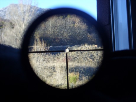 Que opinais de este visor para cazar en batida?
https://www.opticsplanet.net/bushnell-trophy-1-4x24-matte-illuminated-dot-30mm-tube-riflescope-731424m.html
Haria 150