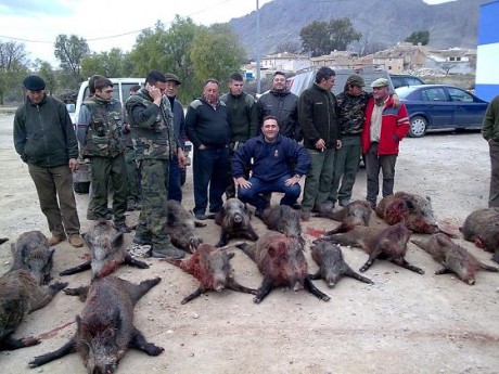 Alguien se anima?

Hay dos batidas en enero en Murcia, concretamente en el municipio de JUMILLA. los días 170