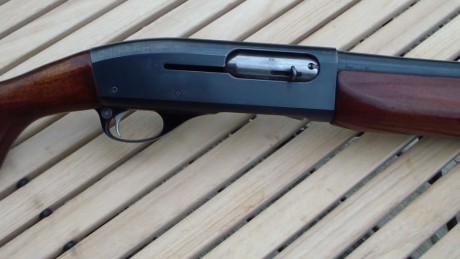 He de confesaros que no tenía la intención de escribir nada sobre la Remington 878 Automaster, pero el 12